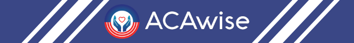 prior year filing with ACAwise